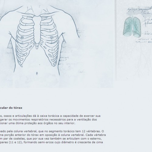 Página de Anatomia